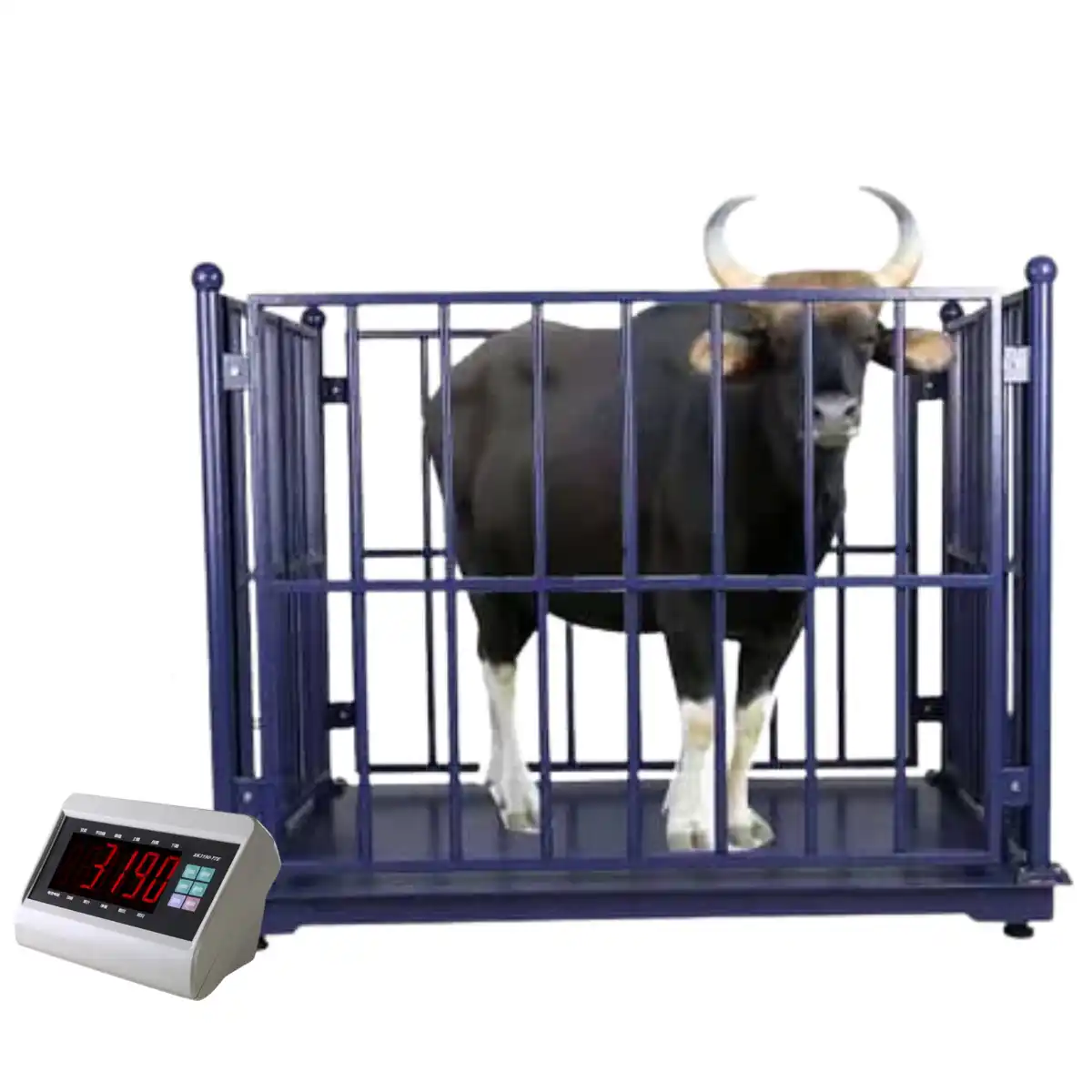 picture of best animal weighing scales machines